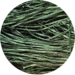 Straw Silk Loden 0485