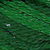 Planet Earth Fibers 8 Ply Gecko 1333 Variegated