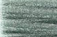 Petite Frosty Rays Lily Pad PY425