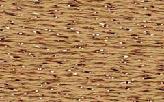 Silk Lame Honey Bronze LB101