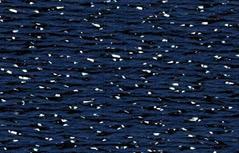 Silk Lame Deep Cobalt LB107