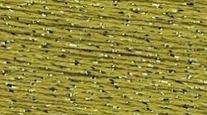 Silk Lame Dark Green Olive LB204