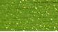 Sparkle Rays Lime SR02