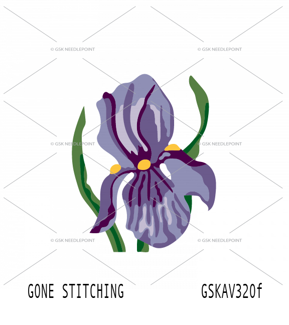 Purple Iris Flower