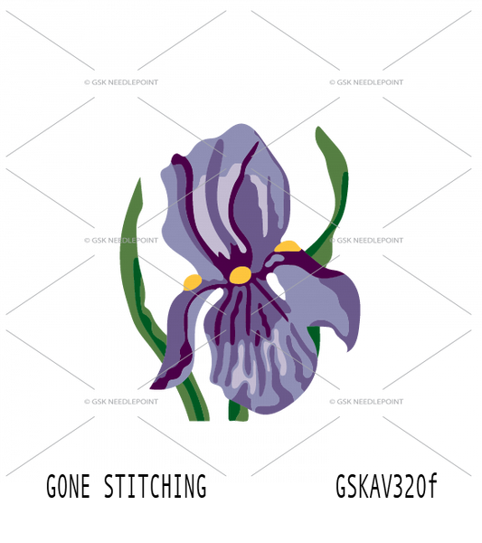 Purple Iris Flower