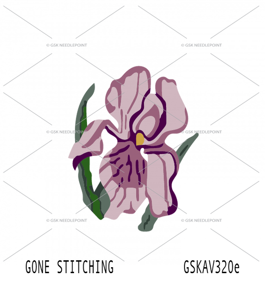 Pink Iris Flower